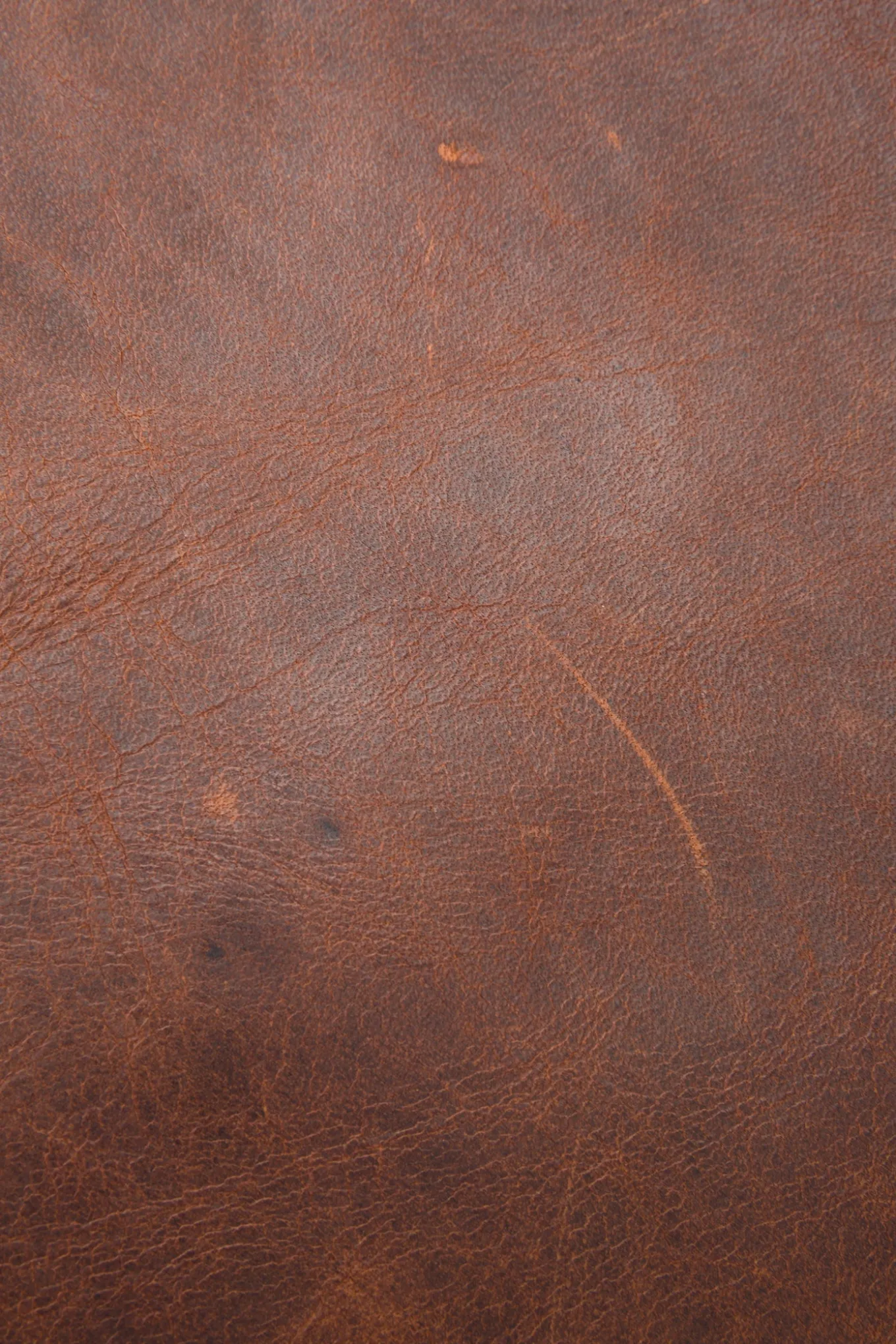 Bags^Frye Logan Backpack