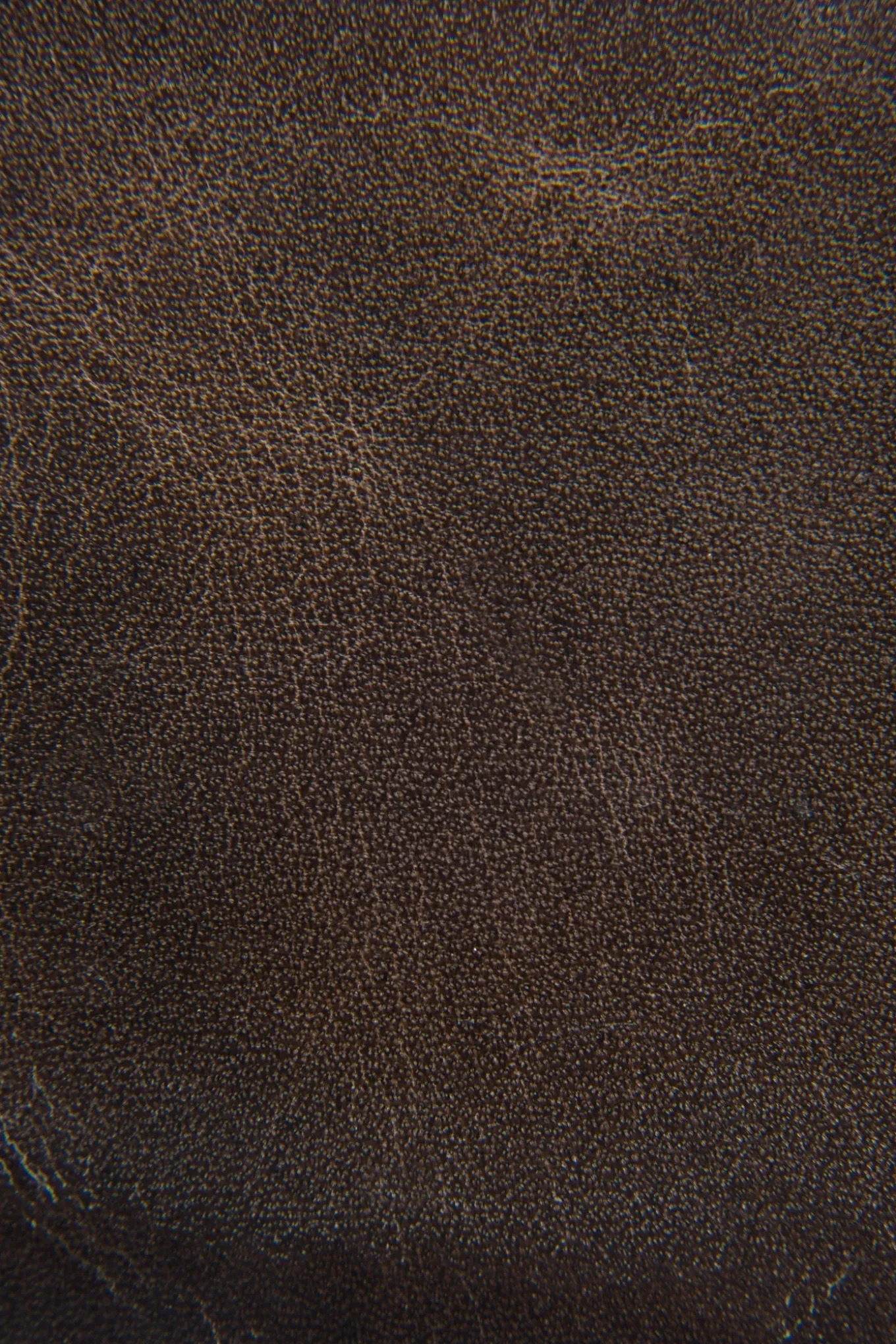 Wallets & Accessories^Frye Logan Billfold