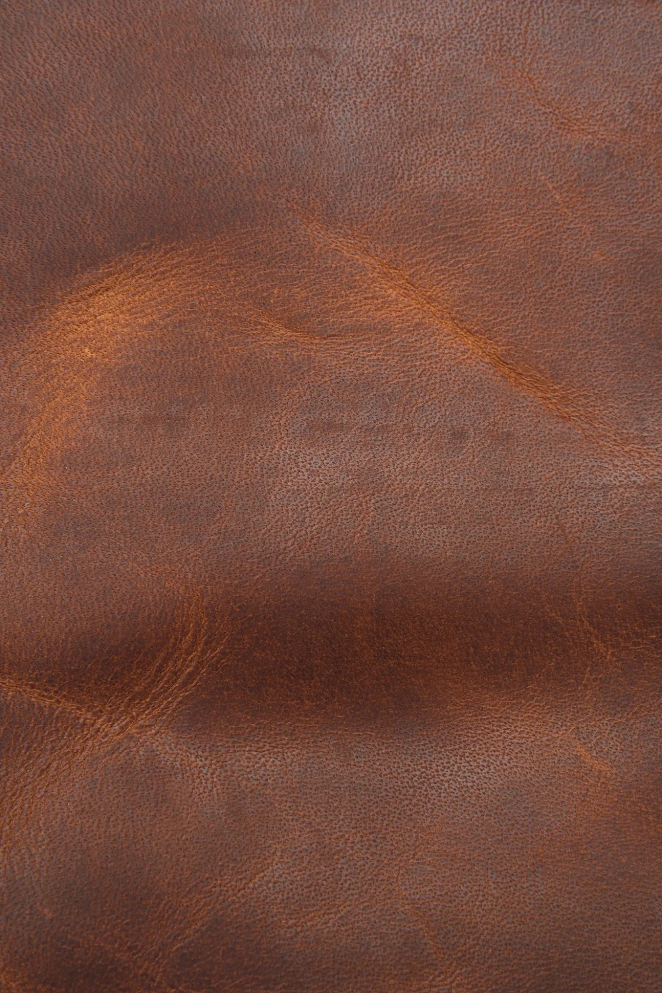 Bags^Frye Logan Messenger Cognac