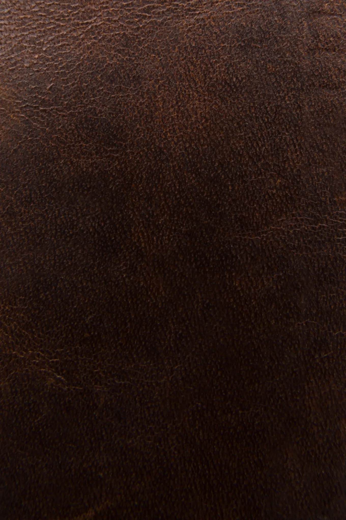 Wallets & Accessories^Frye Logan Money Clip Card Case