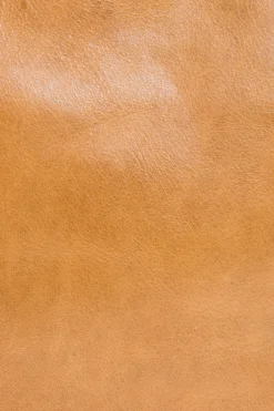 Handbags^Frye Melissa Swing Pack
